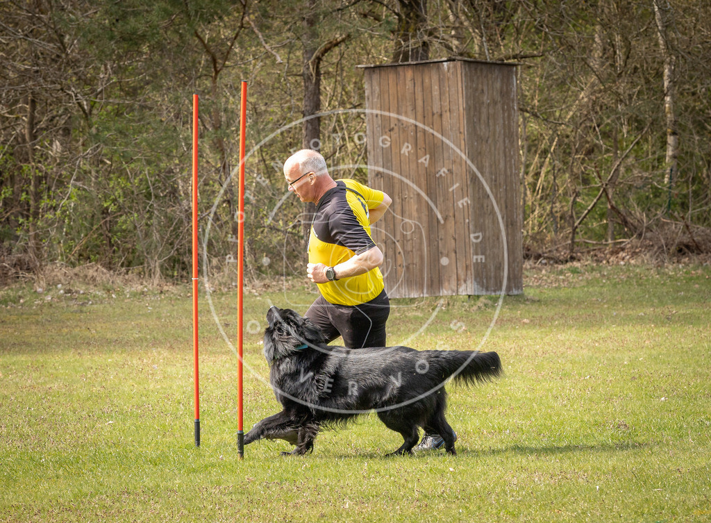 Pfotenfotografie_DV3A8178 | Hundefotografie, Tierfotograf, Pfotenfotografie, Fotoshooting Hund, Hunde Portrait, Hundesport, Hundeportraits, Heideshooting, Hunde, Sportfotograf, Hundefotograf, Turnierhundsport, THS,  - Realisiert mit Pictrs.com