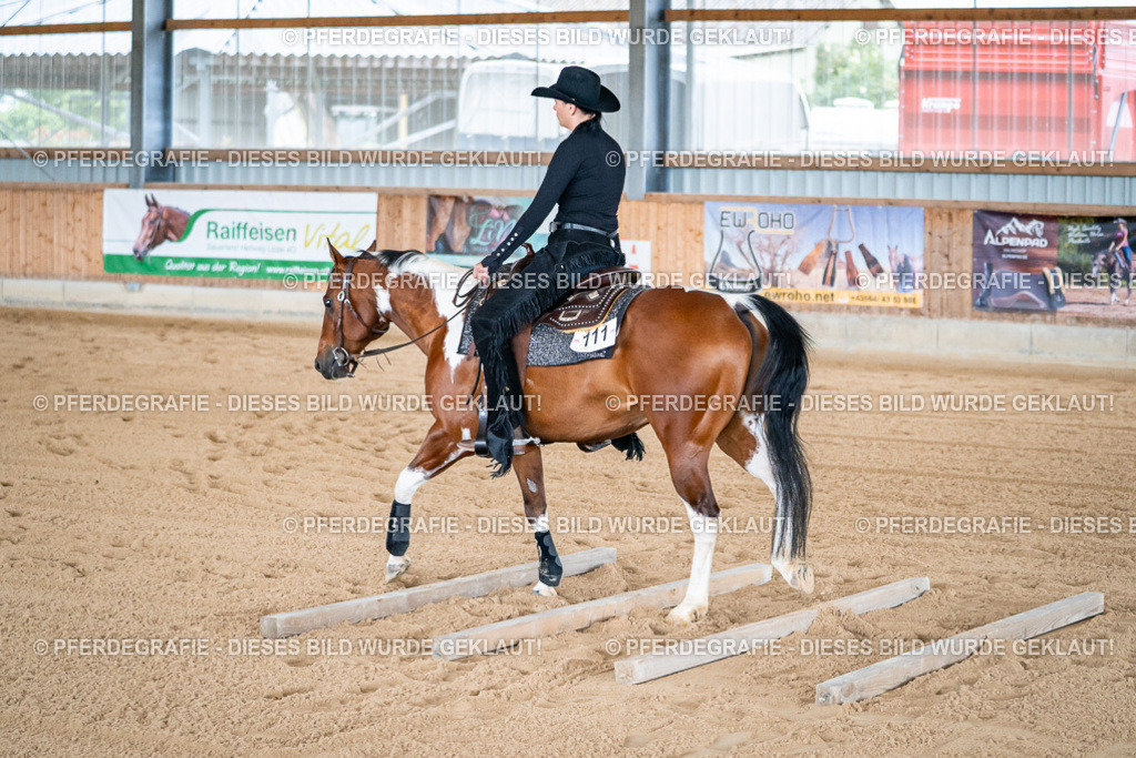 DSC08415 | Pferdegrafie