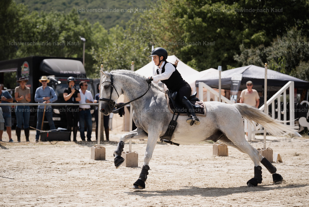 WM_SP_143_Stoibphotography_SO19750 | working equitationturnier fotograf videograf stoibphotography marixx film working equitation deutschland reitsport turnierfotografie eventfotografie equestrian events