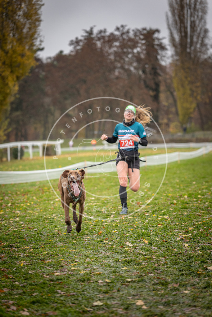 CaniXpix_DV3A9228 | Hundefotografie, Tierfotograf, Pfotenfotografie, Fotoshooting Hund, Hunde Portrait, Hundesport, Hundeportraits, Heideshooting, Hunde, Sportfotograf, Hundefotograf, Turnierhundsport, THS,  - Realisiert mit Pictrs.com
