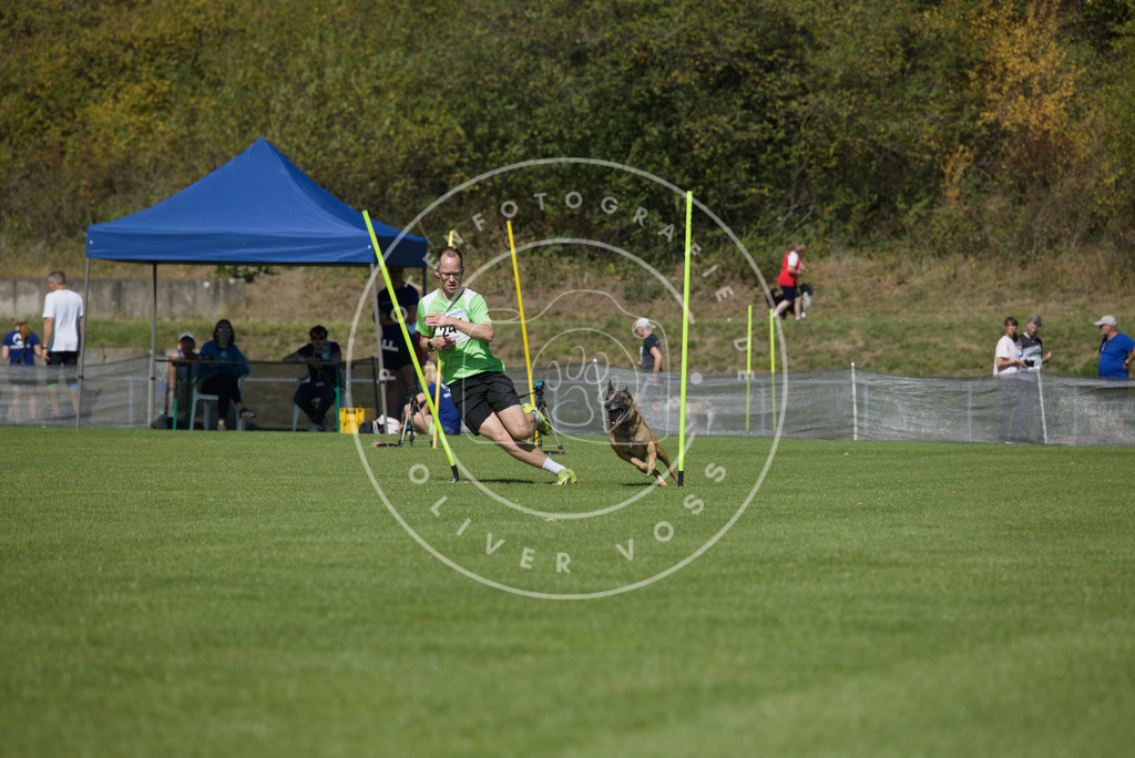 0L8A6207 | Hundefotografie, Tierfotograf, Pfotenfotografie, Fotoshooting Hund, Hunde Portrait, Hundesport, Hundeportraits, Heideshooting, Hunde, Sportfotograf, Hundefotograf, Turnierhundsport, THS,  - Realisiert mit Pictrs.com