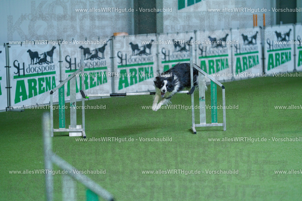 @allesWIRTHgut_Tierfotografie - www.allesWIRTHgut.de - 2604261347-7R502680 | Professionelle Tierfotografie in Mönchengladbach von Daniel Wirth (allesWIRTHgut). Liebevolle & natürliche Bilder von Hunden & Katzen für unvergessliche Erinnerungen.