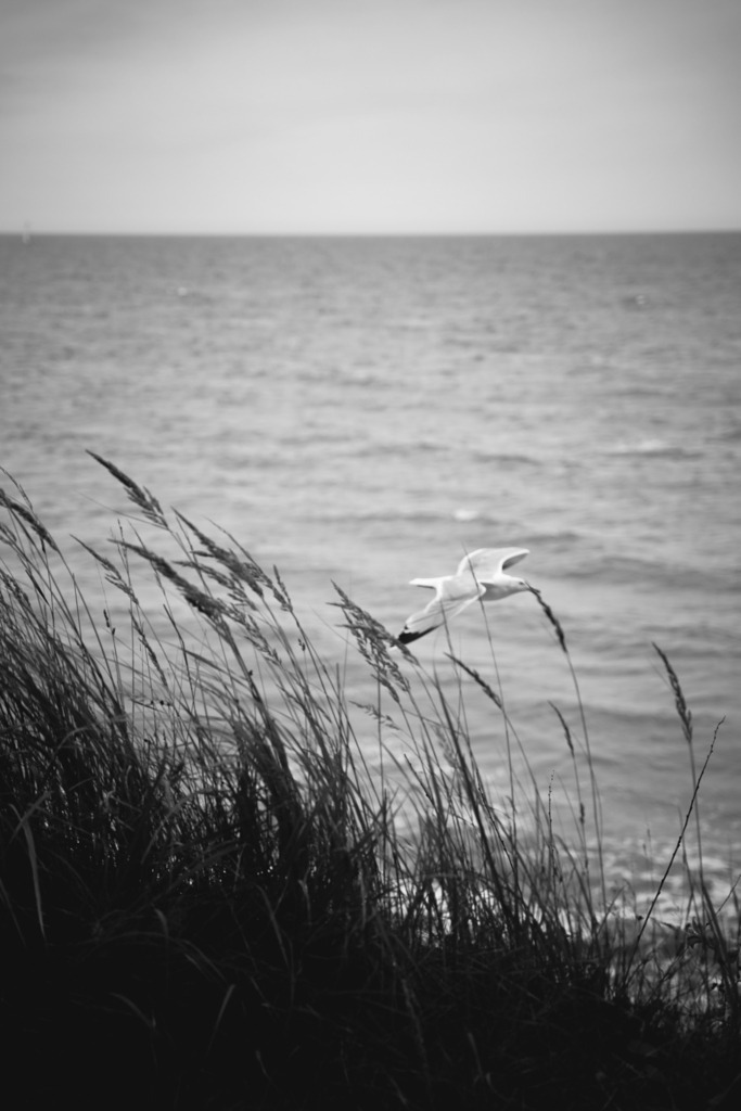 DSC06783 | frl-wunderlich - Realisiert mit Pictrs.com