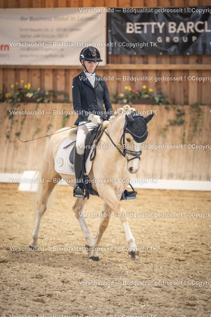 _D5A1356 | Emotionale Pferde- & People-Fotografie rund um Heidelberg, Leimen & Umgebung. Natürliche Fotos von Pferd, Mensch & Familie. Jetzt Termin sichern!