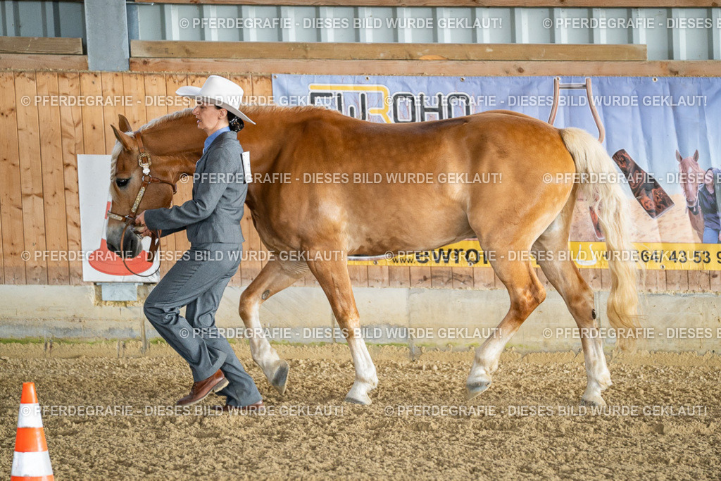 DSC07563 | Pferdegrafie