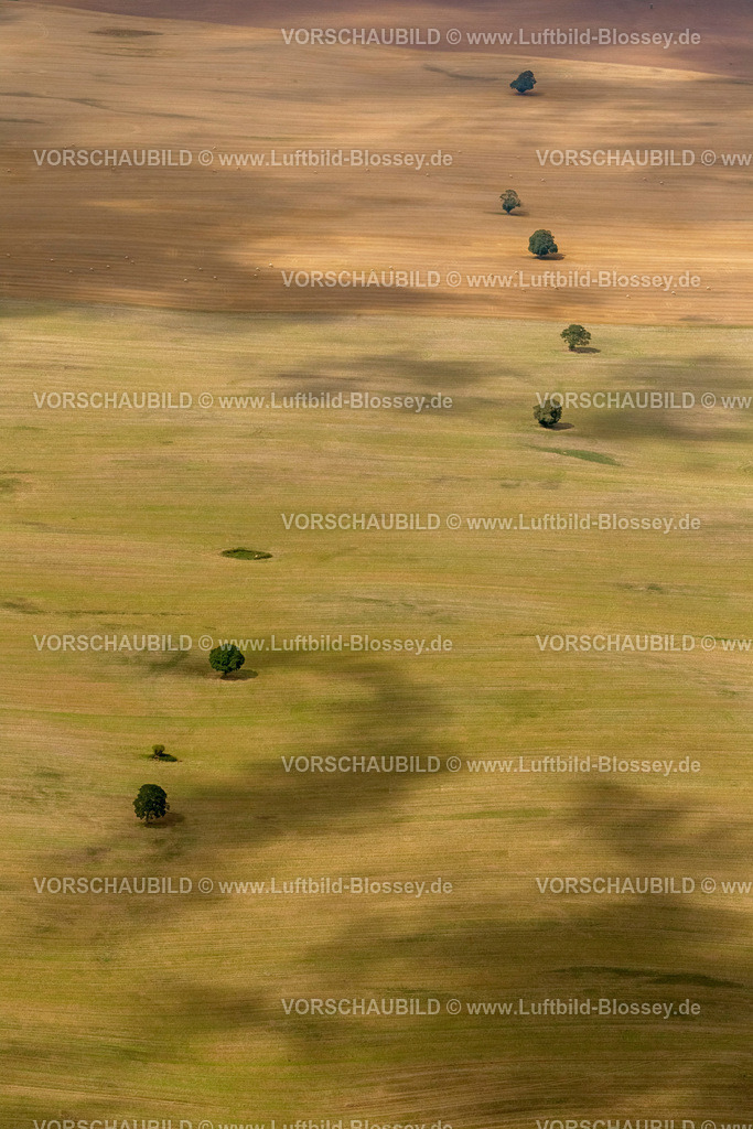 Laage12081603 | Feld mit Waldflecken, Acker, Feld, Moränenlandschaft,  Dettmannsdorf, Mecklenburg-Vorpommern, Deutschland, Europa 