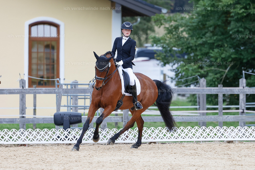 04_2-006-Dressur M__ -StoibPH-2975 | working equitationturnier fotograf videograf stoibphotography marixx film working equitation deutschland reitsport turnierfotografie eventfotografie equestrian events