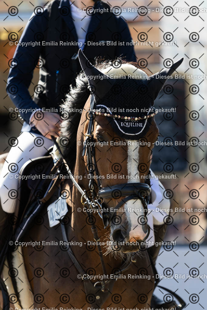 CL5A1390 | Emilia Reinking Fotografie - Realisiert mit Pictrs.com