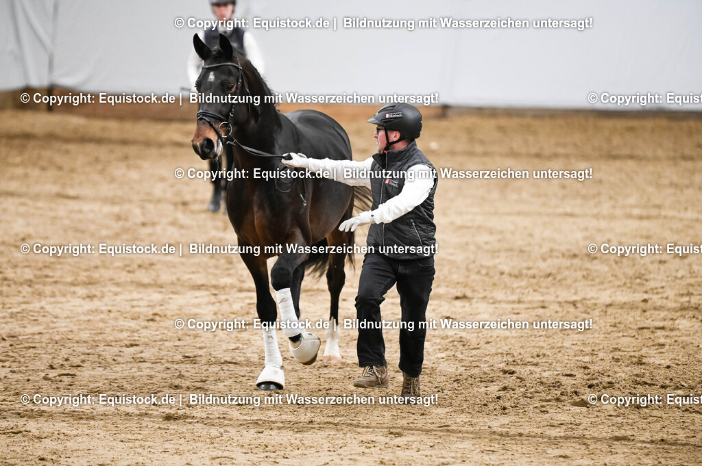 20260307_Hengstvorstellung-Marbach_0298 | equistock