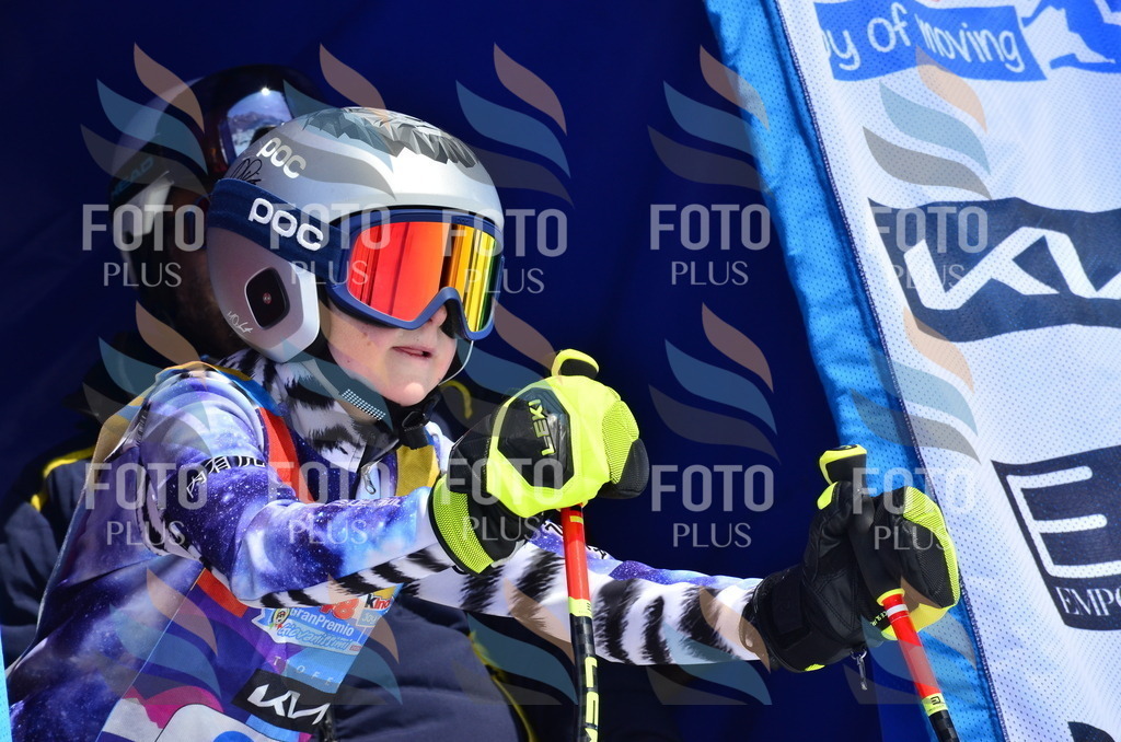 _ELE0414 | holidayphoto