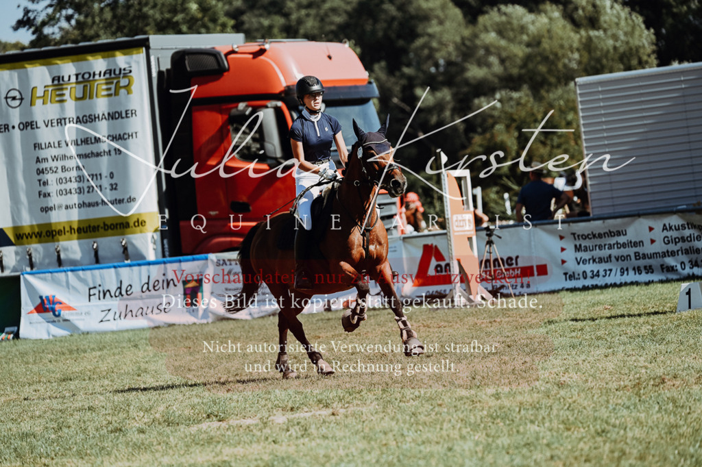 DSC_6961 | Pferde- und Turnierfotografie in Westsachsen. Pferdeportraits, Auftragszeichnungen und intuitive Kunst.