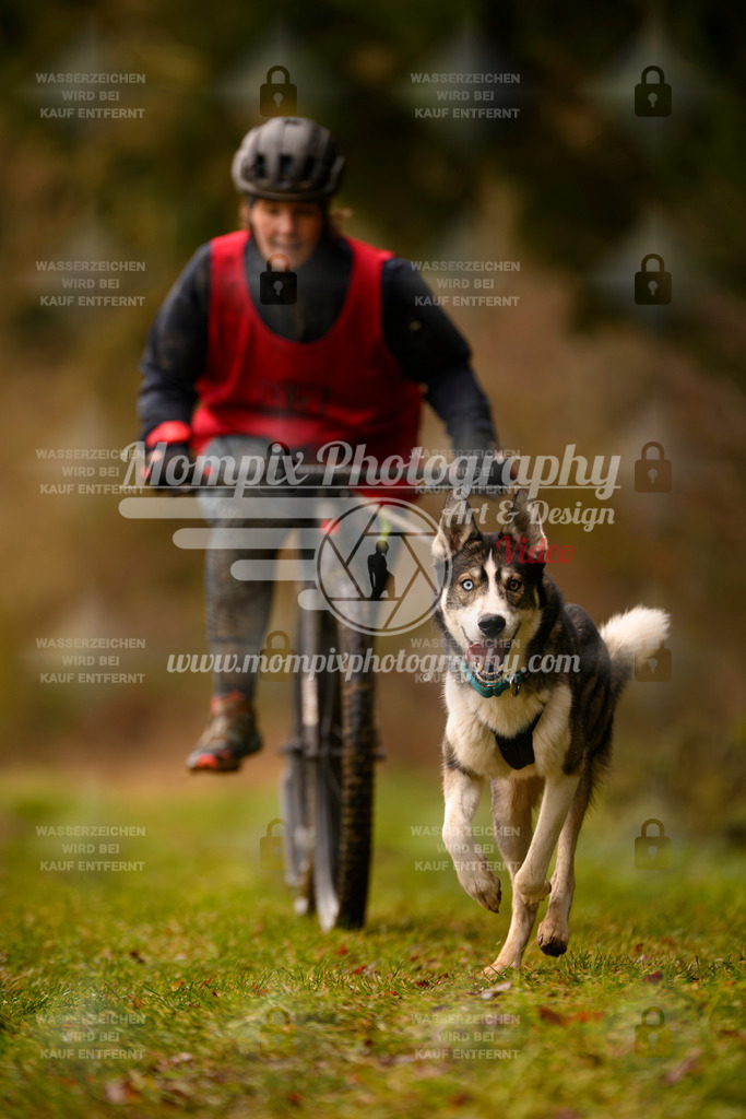 MompixPhotography_2SSTSSBW_2025_SO_Scooter-51 | PayLife
