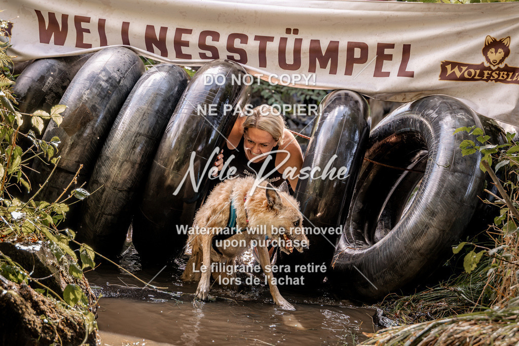 nelerasche_Hunsrück2026_Sa1400-1500_219 | nelerasche
