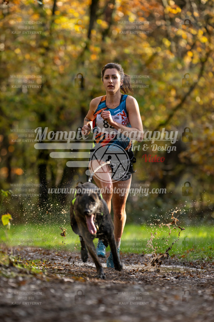 MompixPhotography_Bischwiller23_Canicross-12 | PayLife