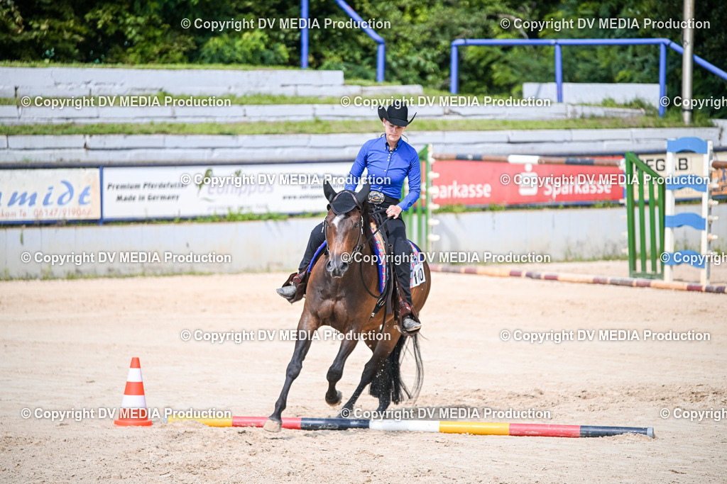 ZS2_3720 | dv-media-shop - Realisiert mit Pictrs.com