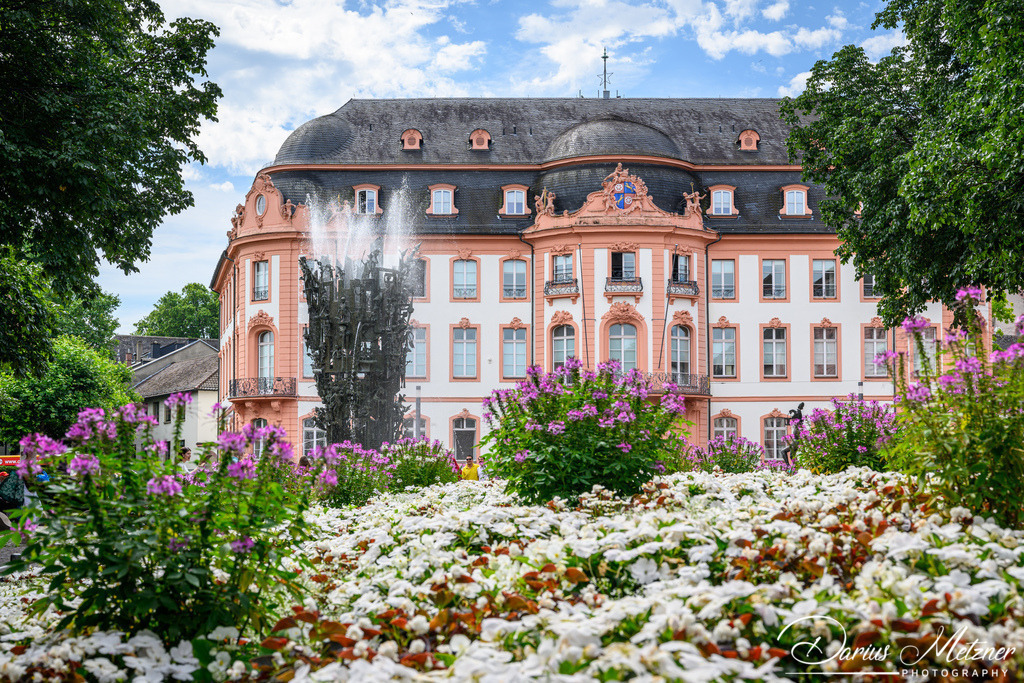 DSC_7097 | Fotografien, Fotos und Bilder aus Mainz, Frankfurt, Wiesbaden und anderen Orten auf der Welt - Fotografiert von Darius Metzner