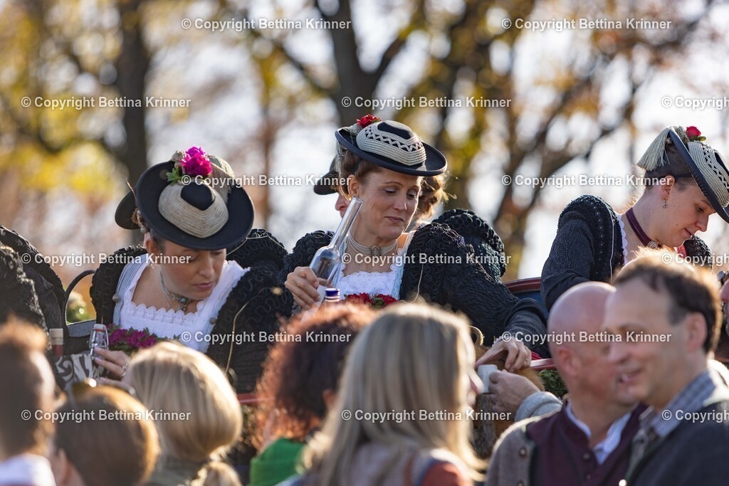 LBT24-1122 | foto-bettina-krinner - Realisiert mit Pictrs.com