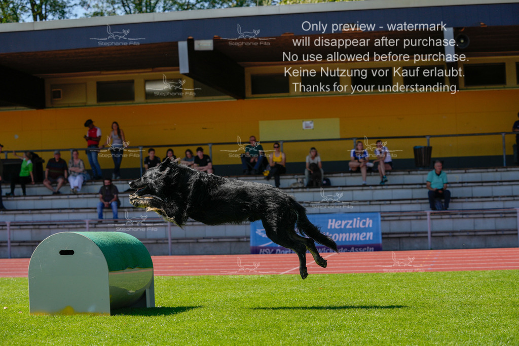 Sonntag_VK Hindernis (273 von 671) | stephaniefillaphotographie - Realisiert mit Pictrs.com