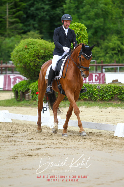 DKP46199 | Turniersportfotografie; Pferdefotografie; Dressurfotografie