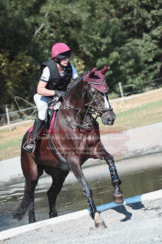 DSC_8551 | Pferde- und Turnierfotografie in Westsachsen. Pferdeportraits, Auftragszeichnungen und intuitive Kunst.