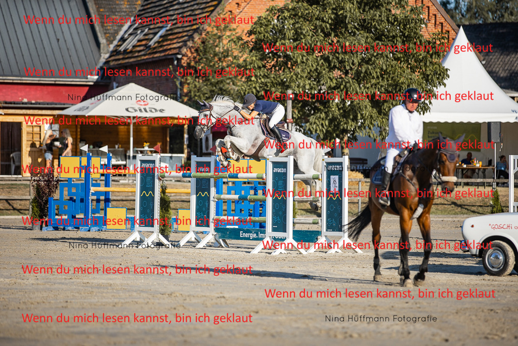BK1A8800 | Turnierbilder Turnierfotos Nina Hüffmann Turnierfotografie Pferdefotografie Tierzeichnung Haustierzeichnung Pferdezeichnung Hundezeichnung Videograf  - Realisiert mit Pictrs.com