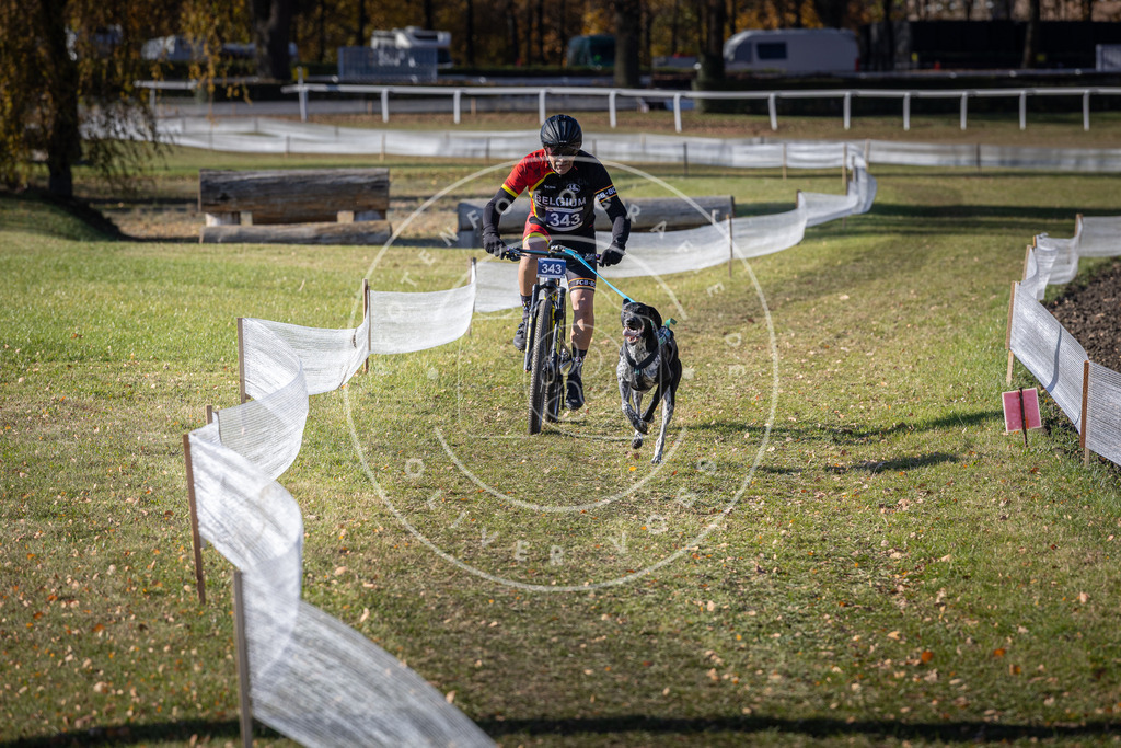 CaniXpix_DV3A6994 | Hundefotografie, Tierfotograf, Pfotenfotografie, Fotoshooting Hund, Hunde Portrait, Hundesport, Hundeportraits, Heideshooting, Hunde, Sportfotograf, Hundefotograf, Turnierhundsport, THS,  - Realisiert mit Pictrs.com