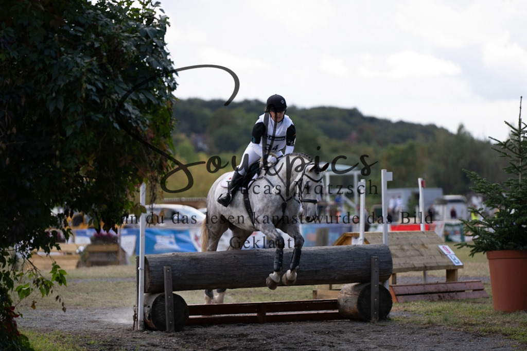 A7V00972 | Pferdefotograf