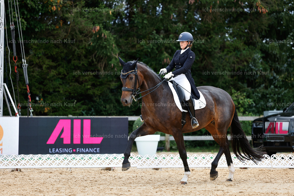 6-086-AMATUER-DRESSUR S_  -StoibPH-3580 | working equitationturnier fotograf videograf stoibphotography marixx film working equitation deutschland reitsport turnierfotografie eventfotografie equestrian events