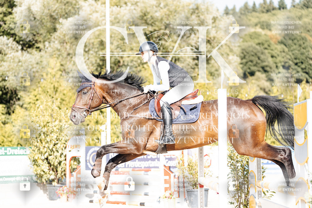 CK909260 | Turnierfotografie Pferdefotografie Trier Rheinland-Pfalz Pferdesport Reitsport Tierfotografie Sportfotografie Pferdevideo Pferdevideografie Equestrianvideography equestrianphotography  - Realisiert mit Pictrs.com
