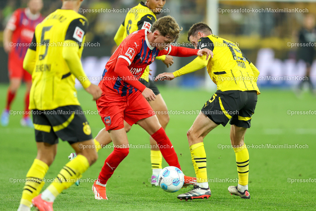 BVB13092401031 | 13.09.2024, 1. Fußball Bundesliga, Borussia Dortmund - 1. FC Heidenheim 1846, Signal Iduna Park, Saison 2024 2025: Zweikampf Paul Wanner (Heidenheim #10) gegen Pascal Groß (BVB #13)DFB regulations prohibit any use of photographs as image sequences and or quasi-video.