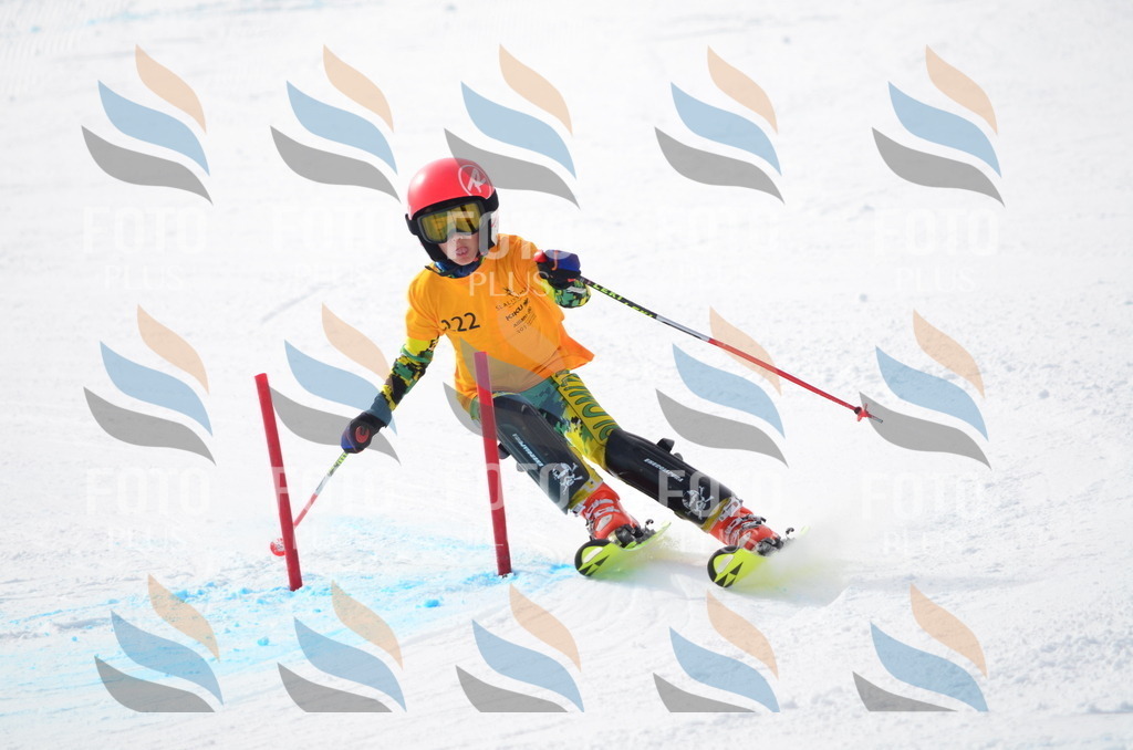 C8249 | holidayphoto