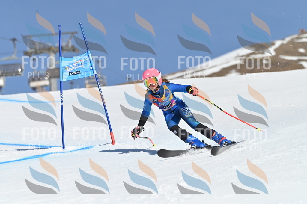 BGV_8225 | holidayphoto