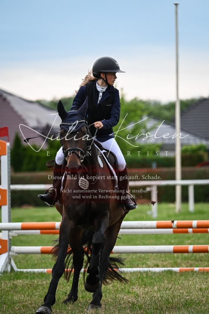 DSC_8565 | Pferde- und Turnierfotografie in Westsachsen. Pferdeportraits, Auftragszeichnungen und intuitive Kunst.