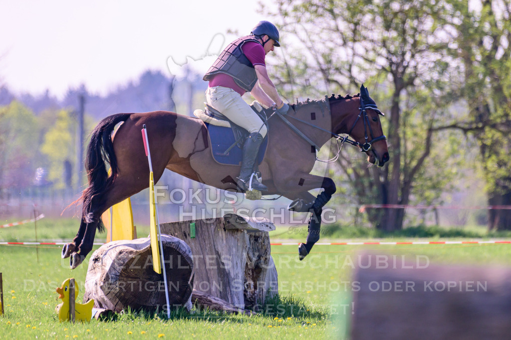 18042026-Gernlinden-03-0117 | Fokus Hufschlag Fotografie - Realisiert mit Pictrs.com