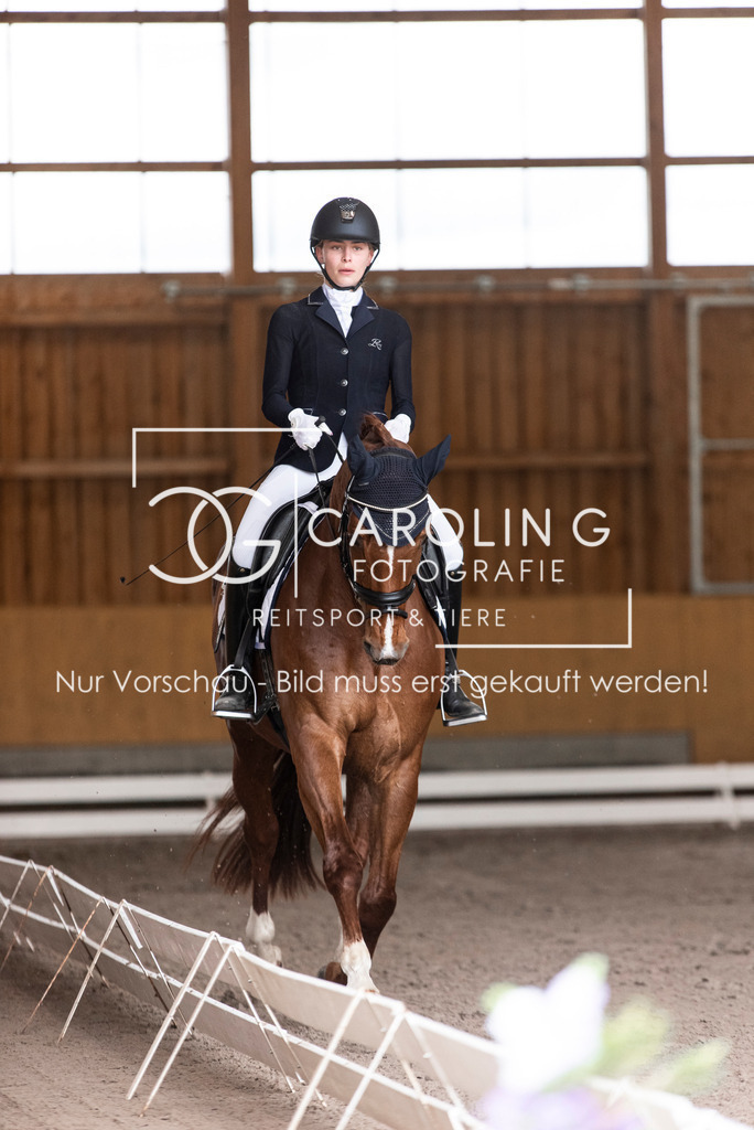 DSC_2668 | Carolin Gieschke