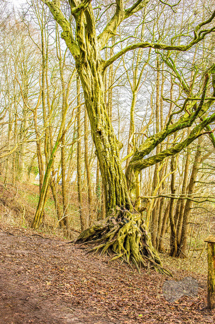 _DSC9144-2 | Shop für Prints Landschaftsfotografie Sächsische Schweiz Naturfotografie in Thüringen Fotos vom Findlingspark Nochten Kloster Sankt Marienstern Bilder Festung Königstein PanoramaRhododendronpark Kromlau FotogalerSchleswig-Holstein Küstenlandschaften