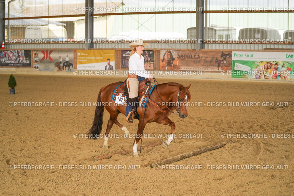 DSC02484 | Pferdegrafie