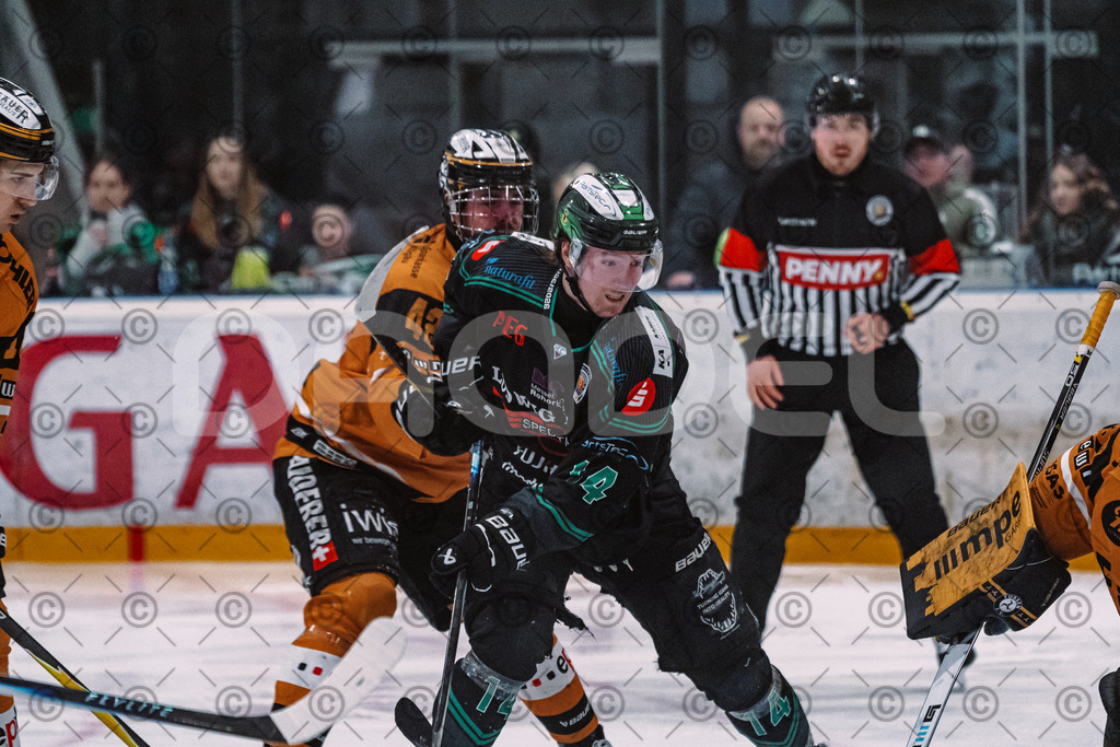 Alligators_vs_Fuessen_01_03_2026_PP-33 | Höchstadt Alligators Fotogalerie: Eishockey-Action aus Franken. Professionelle Spielfotos, Portraits & Stadionbilder zum Download. Jetzt entdecken! - Realisiert mit Pictrs.com