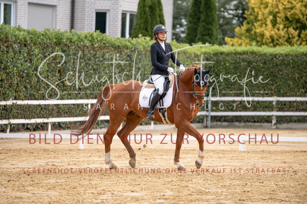Schugtsche-Aluta25-40.DressurprfA_-309 | Schugtsche Fotografie - Realisiert mit Pictrs.com