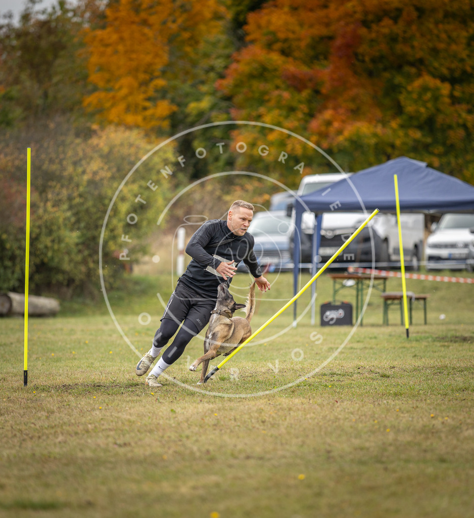 Pfotenfotografie_DV3A8025 | Hundefotografie, Tierfotograf, Pfotenfotografie, Fotoshooting Hund, Hunde Portrait, Hundesport, Hundeportraits, Heideshooting, Hunde, Sportfotograf, Hundefotograf, Turnierhundsport, THS,  - Realisiert mit Pictrs.com
