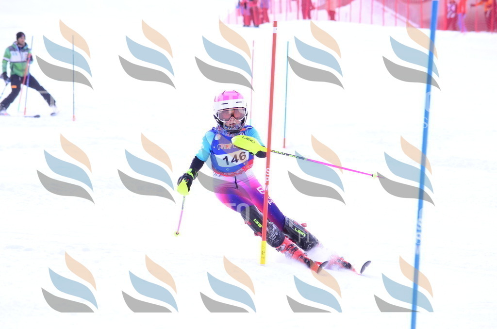 B1867 | holidayphoto