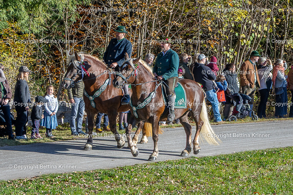 LBT25-203 | foto-bettina-krinner - Realisiert mit Pictrs.com