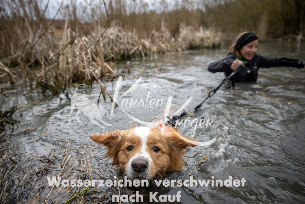 0853_ZZ94334 | kk-dogfotos