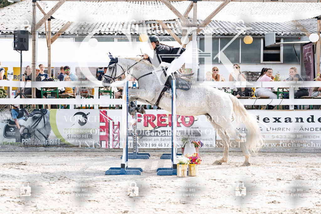 CK905498 | Turnierfotografie Pferdefotografie Trier Rheinland-Pfalz Pferdesport Reitsport Tierfotografie Sportfotografie Pferdevideo Pferdevideografie Equestrianvideography equestrianphotography  - Realisiert mit Pictrs.com