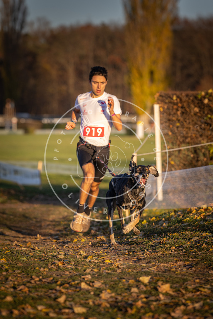 CaniXpix_DV3A4902 | Hundefotografie, Tierfotograf, Pfotenfotografie, Fotoshooting Hund, Hunde Portrait, Hundesport, Hundeportraits, Heideshooting, Hunde, Sportfotograf, Hundefotograf, Turnierhundsport, THS,  - Realisiert mit Pictrs.com