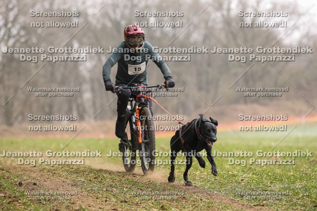 Dog Paparazzi - Plate 2026-55 | Dog Paparazzi Jeanette Grottendiek Fotografie & Videografie - Realisiert mit Pictrs.com