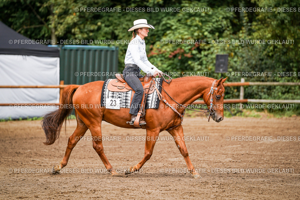 DSC06643 | Pferdegrafie