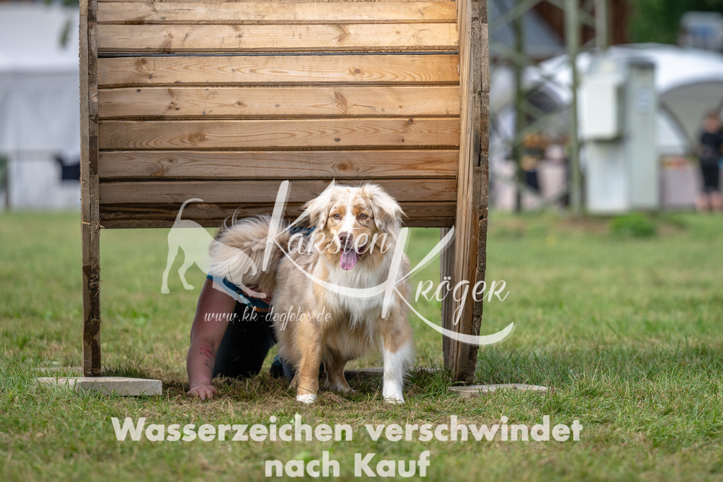 1151_ZZ91963 | kk-dogfotos