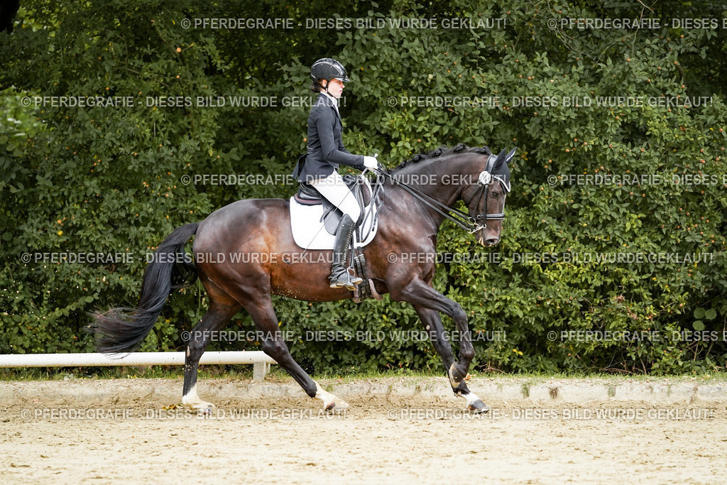 DSC03975 | Pferdegrafie