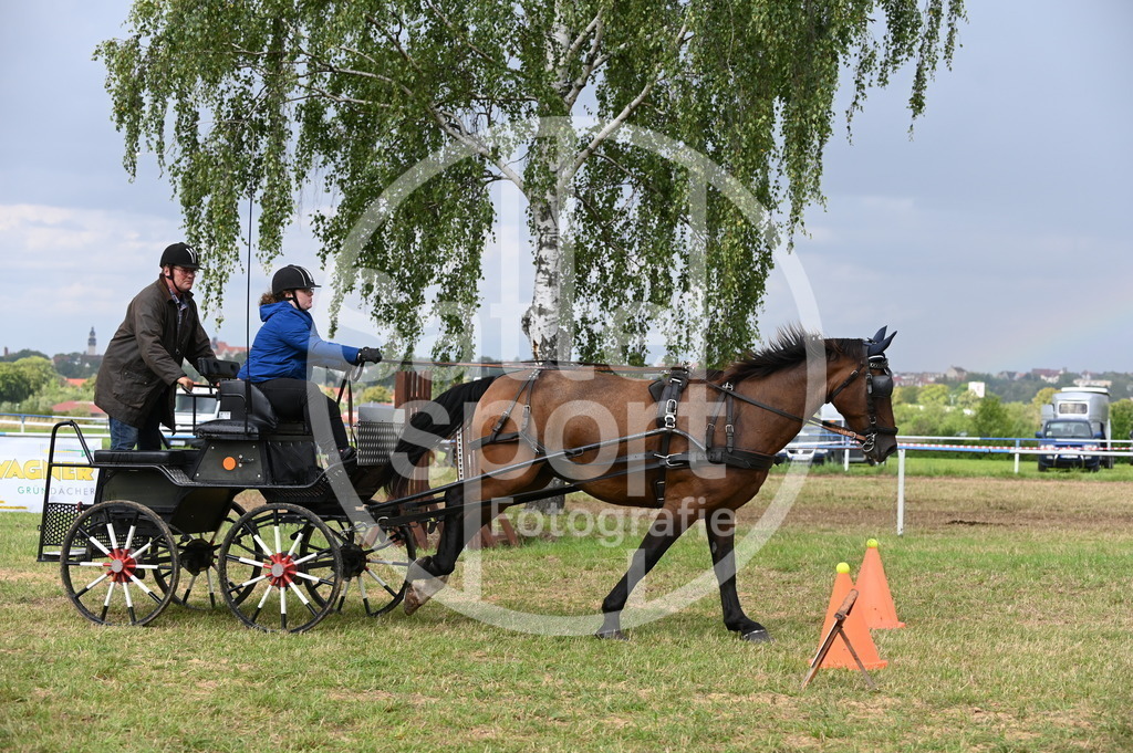 DSC_9011 | sattelsport - Realisiert mit Pictrs.com